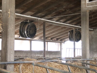 Savremeni sistem hlađenja na farmi "Babić"