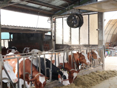 Savremeni sistem hlađenja na farmi "Babić"