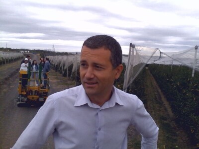 Savremeni voćnjak Delta Agrara