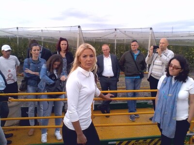 Savremeni voćnjak Delta Agrara