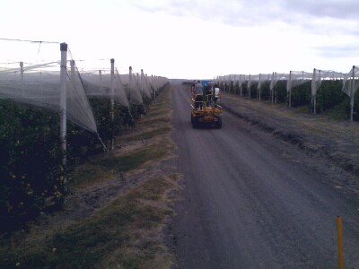 Savremeni voćnjak Delta Agrara