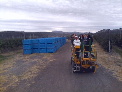 Savremeni voćnjak Delta Agrara