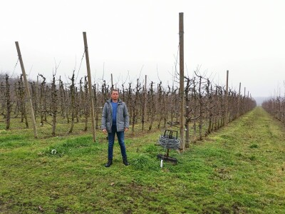 Savremeno voćarstvo budućnost Savremeno voćarstvo budućnost