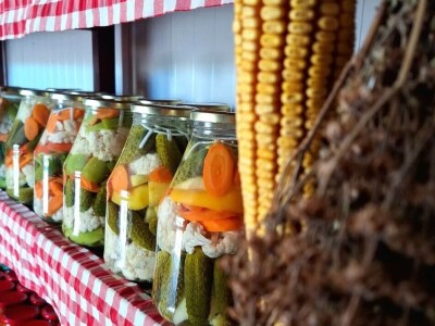 Anina domaća zimnica