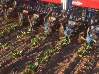 Inteligentna motika za organsku poljoprivredu