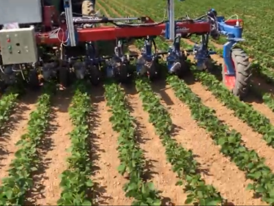 Inteligentna motika za organsku poljoprivredu