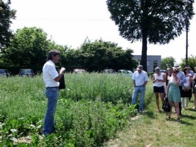 Održivo uklanjanje korova u repi