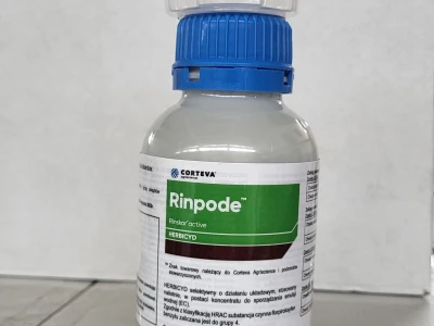 Šećerna repa