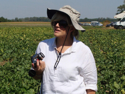 Dan polja šećerne repe Tvornice šećera Viro