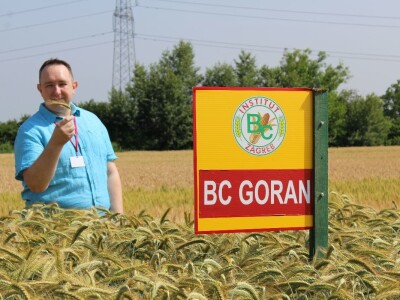 Sedma sila u Rugvici kod BC Instituta