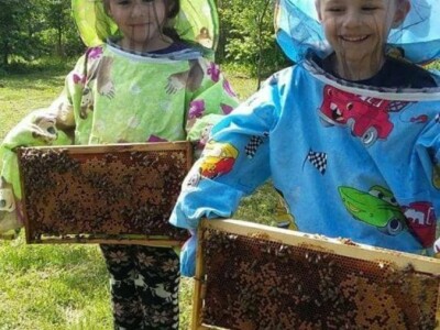 Sedmogodišnji blizanci Mia i Filip od treće godine uče o pčelarstvu