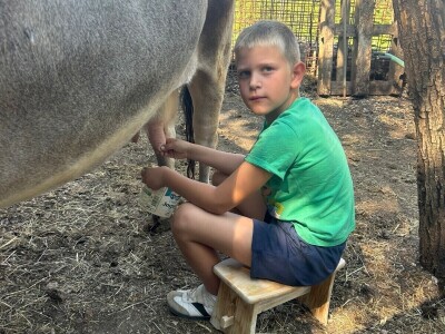 Sedmogodišnji Ivan Čagalj iz Zagvozda Sedmogodišnji Ivan Čagalj iz Zagvozda