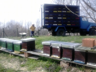 Stacionarni i seleći pčelinjak OPG Šegregur Stacionarni i seleći pčelinjak OPG Šegregur