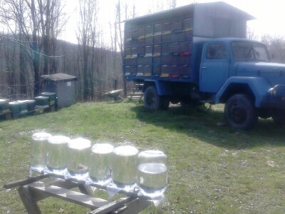 Pčelama treba osigurati zdravu vodu Pčelama treba osigurati zdravu vodu