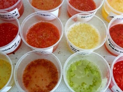 Šehiza Duraković Salkić: Najveća satisfakcija nam je kada naše članice proizvedu svoje povrće