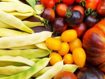 Šehiza Duraković Salkić: Najveća satisfakcija nam je kada naše članice proizvedu svoje povrće