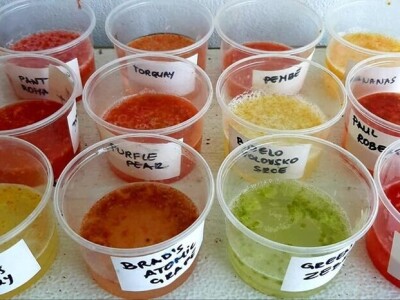 Šehiza Duraković Salkić: Najveća satisfakcija nam je kada naše članice proizvedu svoje povrće