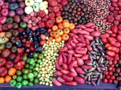 Šehiza Duraković Salkić: Najveća satisfakcija nam je kada naše članice proizvedu svoje povrće