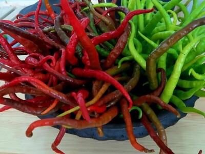 Šehiza Duraković Salkić: Najveća satisfakcija nam je kada naše članice proizvedu svoje povrće