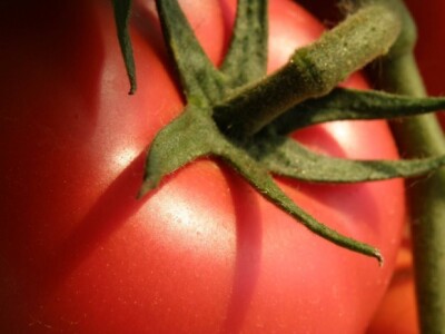 Se-kra d.o.o. prezentacija OPG Štikavac