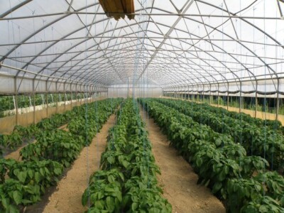 Se-kra d.o.o. prezentacija OPG Štikavac