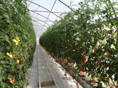 Se-kra d.o.o. prezentacija OPG Štikavac