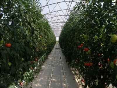 Se-kra d.o.o. prezentacija OPG Štikavac