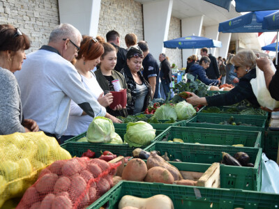 Seljačka tržnica Zadarske županije