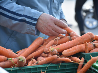 Seljačka tržnica Zadarske županije