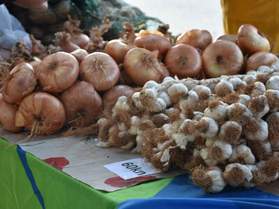 Seljačka tržnica Zadarske županije