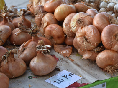 Seljačka tržnica Zadarske županije