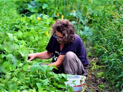 Seljačko domaćinstvo Podžumberak