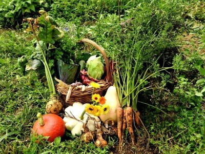 Seljačko domaćinstvo Podžumberak