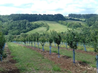 Selo bez poljoprivrednog zemljišta