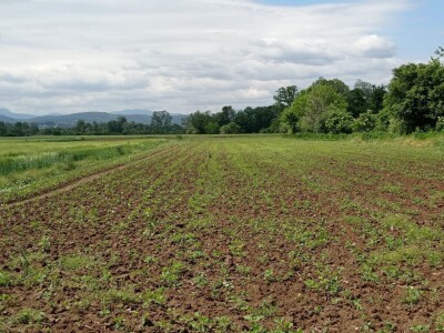 Selo bez poljoprivrednog zemljišta