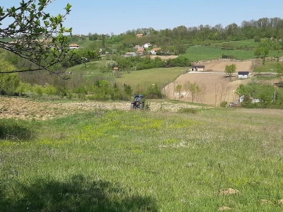 Selo Grabovica