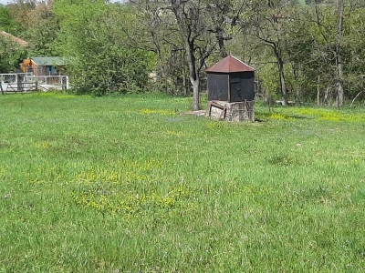 Selo Grabovica
