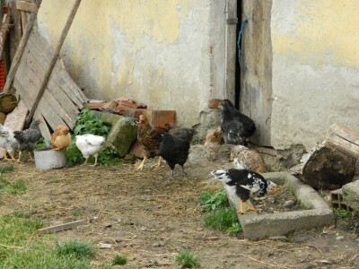 Selo pruža velike mogućnosti