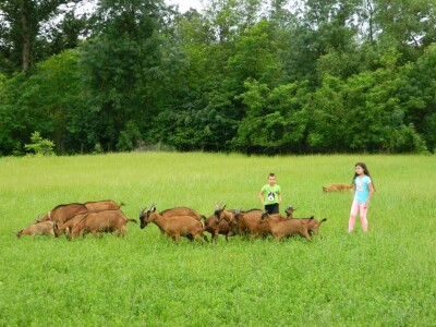 Selo pruža velike mogućnosti