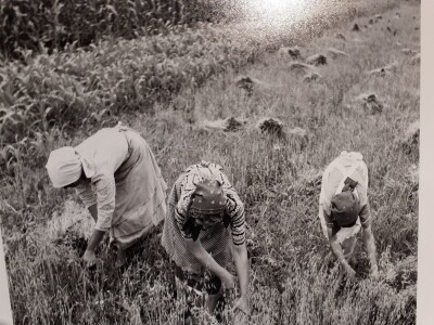 Selo u reportažnoj fotografiji Toše Dabca