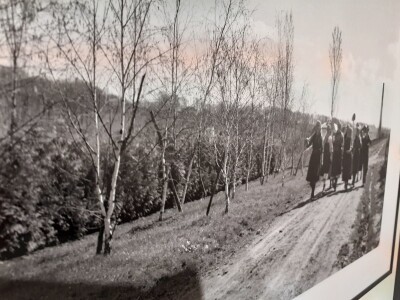 Selo u reportažnoj fotografiji Toše Dabca