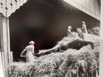 Selo u reportažnoj fotografiji Toše Dabca