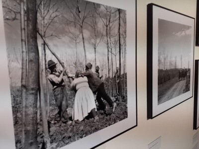 Selo u reportažnoj fotografiji Toše Dabca