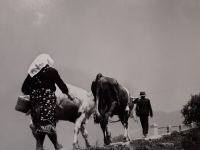 Selo u reportažnoj fotografiji Toše Dabca