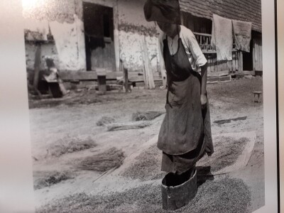 Selo u reportažnoj fotografiji Toše Dabca