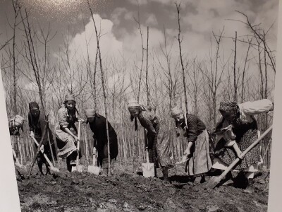 Selo u reportažnoj fotografiji Toše Dabca