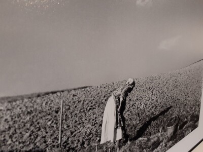 Selo u reportažnoj fotografiji Toše Dabca