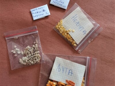 Zdravo povrće iz bašte bez motike