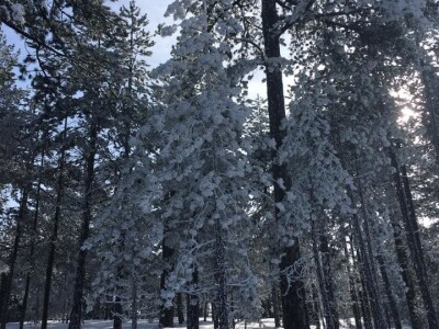 Seminar Tara 2019. godina Seminar Tara 2019. godina