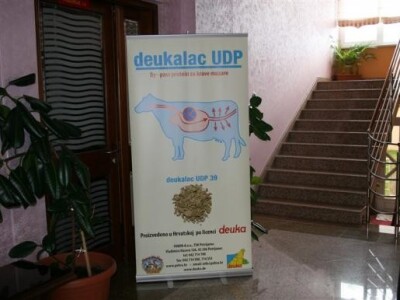 Seminar o proteinima u hranidbi krava